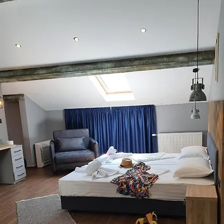 Hotel Kamelia Guest *