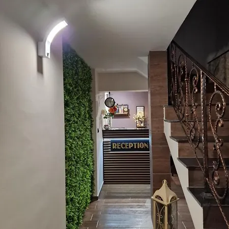 فندق Kamelia Guest