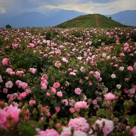 فندق Kamelia Guest Kazanlŭk
