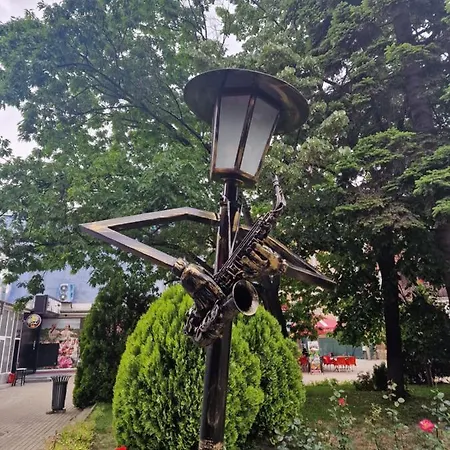 Kamelia Guest فندق