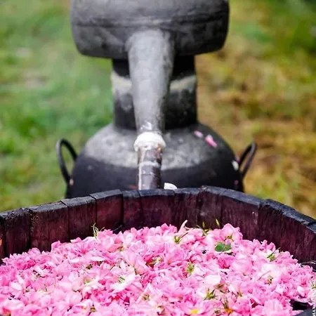 Kamelia Guest فندق Kazanlŭk