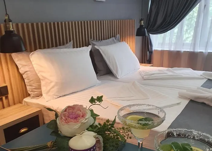 Kamelia Guest カザンラク