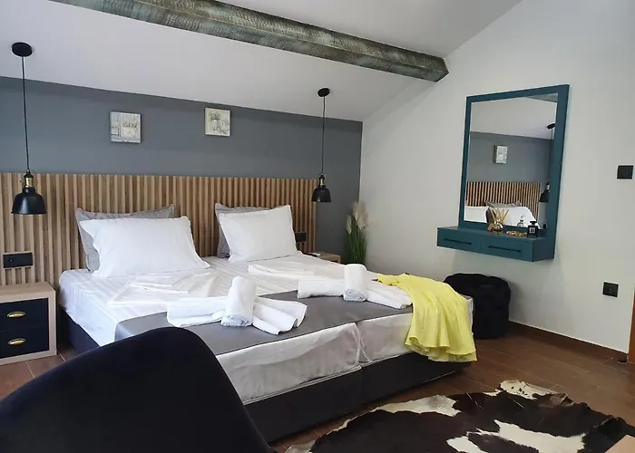 ホテル Kamelia Guest カザンラク