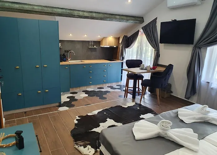 ホテル Kamelia Guest カザンラク