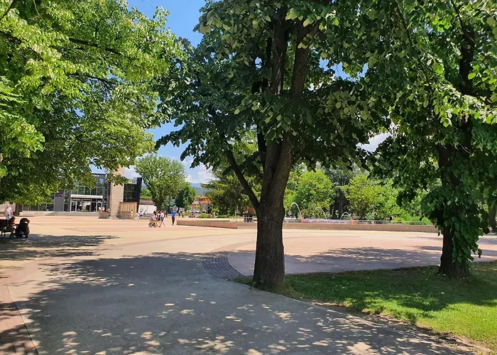 ホテル Kamelia Guest カザンラク