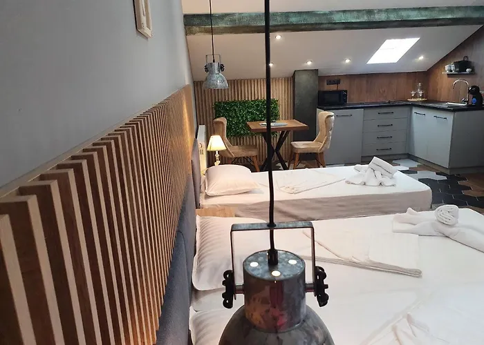 ホテル Kamelia Guest カザンラク