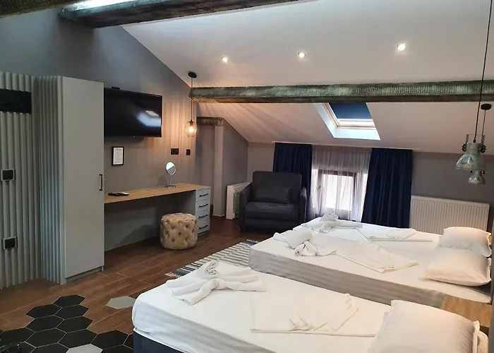 ホテル Kamelia Guest カザンラク