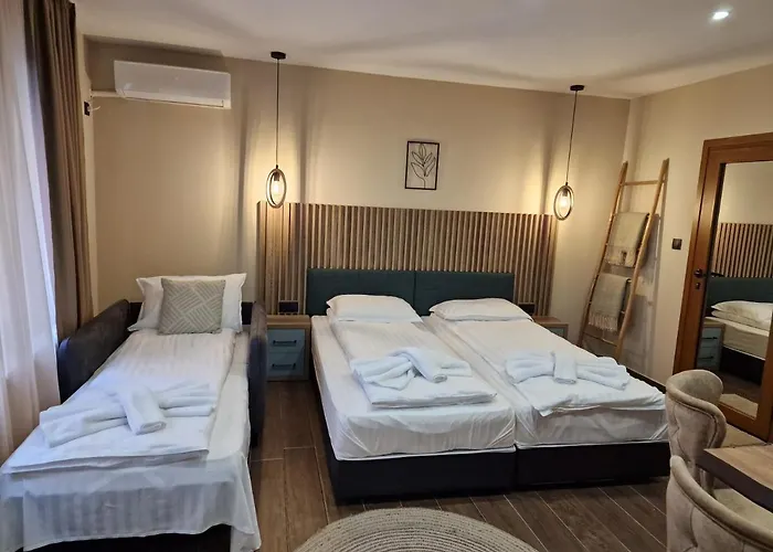 ホテル Kamelia Guest カザンラク