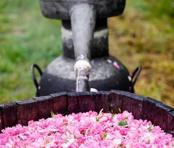 Kamelia Guest ホテル カザンラク